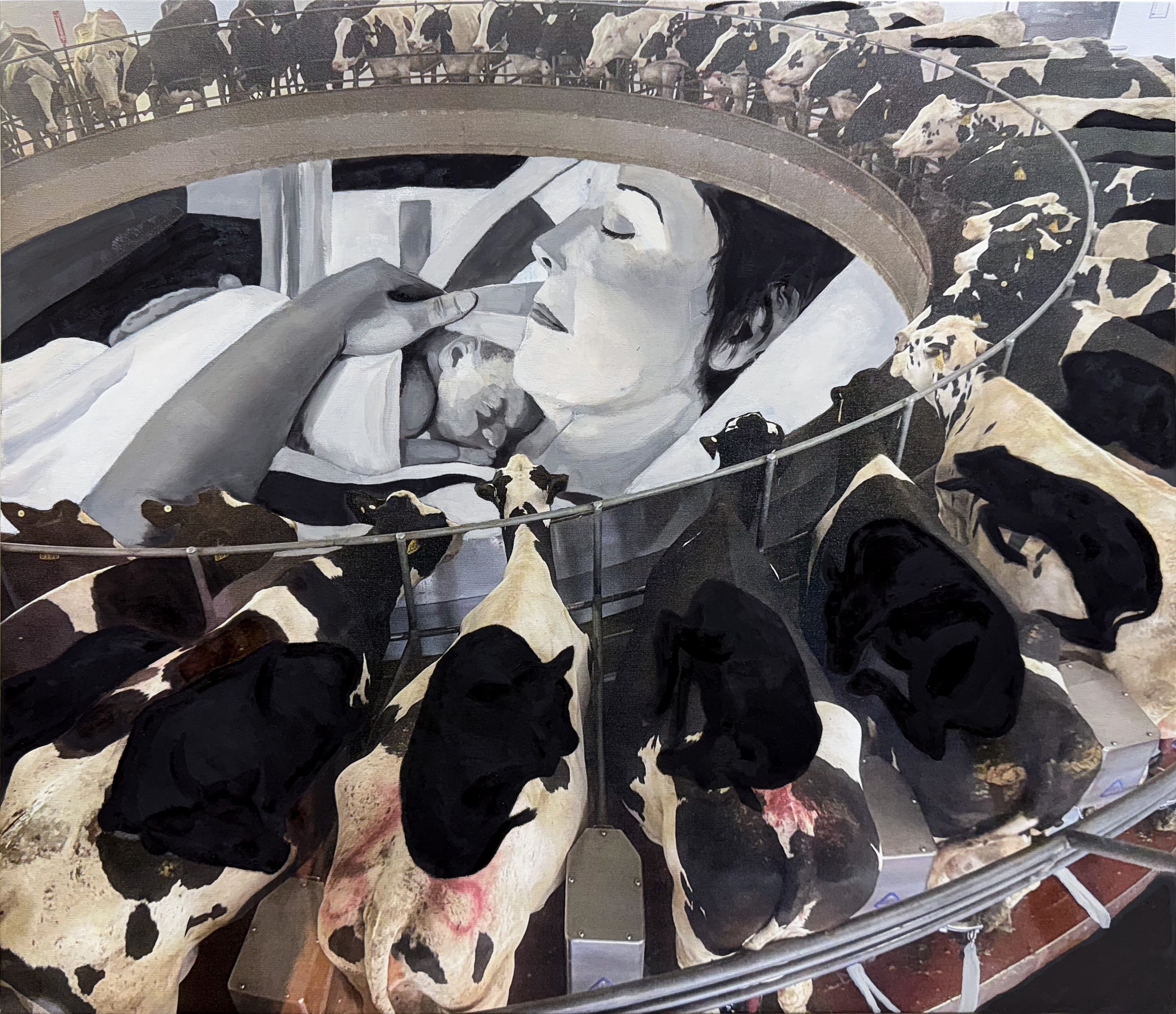 Mother Cows